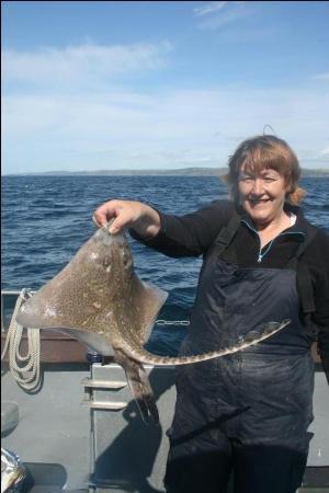 6 lb 8 oz Thornback Ray by June Marshall