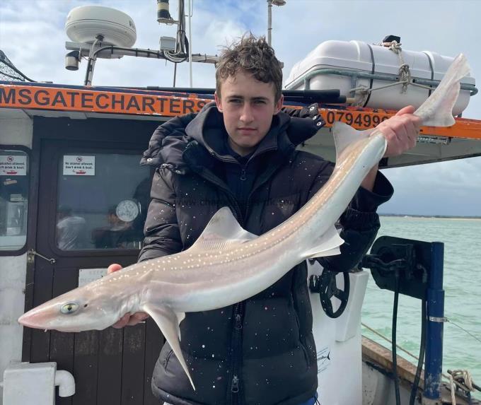 7 lb Starry Smooth-hound by Unknown