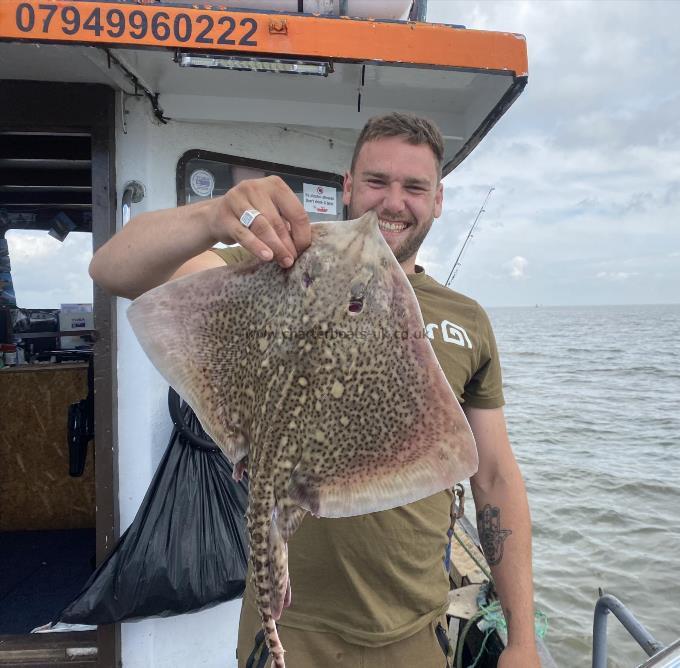 6 lb Thornback Ray by Unknown