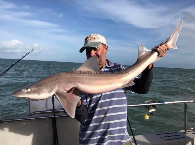 17 lb Smooth-hound (Common) by Unknown