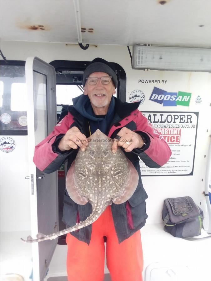 2 oz Thornback Ray by Unknown