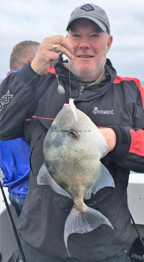 3 lb Trigger Fish by Kev Lee