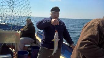 3 lb Pollock by Stephen Wake