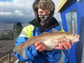 1 lb 8 oz Whiting by Unknown