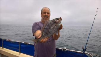 2 lb 12 oz Black Sea Bream by Stephen Wake