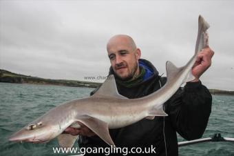 9 lb Starry Smooth-hound by Sam