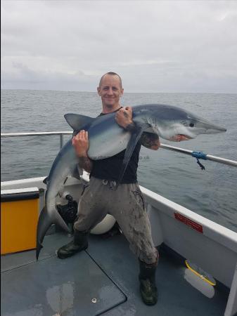 70 lb 2 oz Blue Shark by Unknown