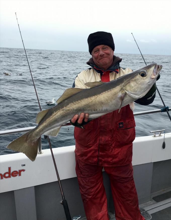 13 lb 2 oz Pollock by Bob