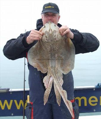 10 lb 8 oz Undulate Ray by David Hawker