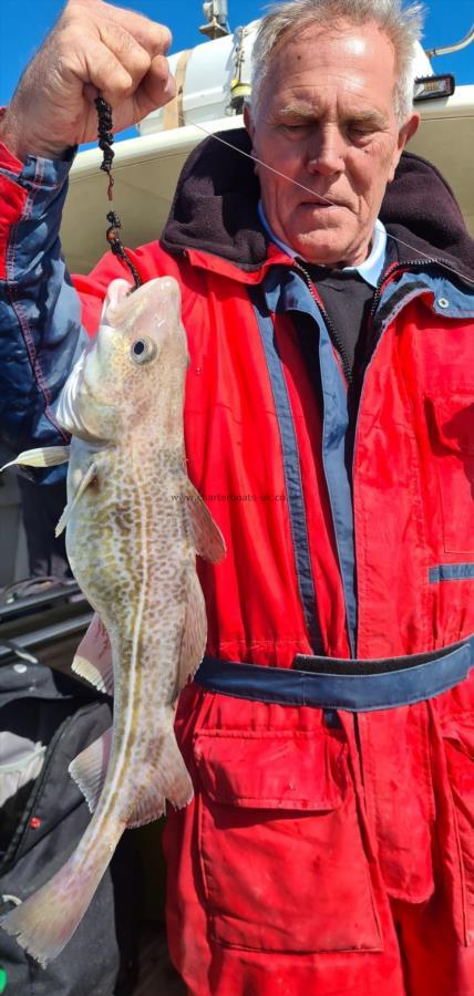 3 lb Cod by Unknown