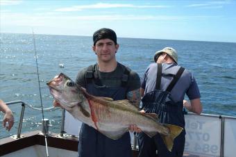 14 lb 10 oz Pollock by Ricky