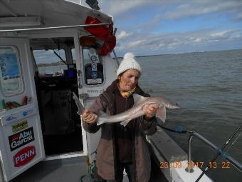 6 lb Starry Smooth-hound by Regina