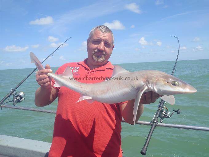 5 lb 5 oz Smooth-hound (Common) by Russell