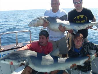 186 lb Blue Shark by Mark Gibson