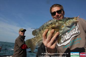 2 lb Ballan Wrasse by Ron