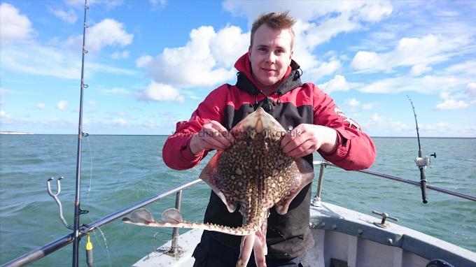 5 lb 4 oz Thornback Ray by Scott from Southampton