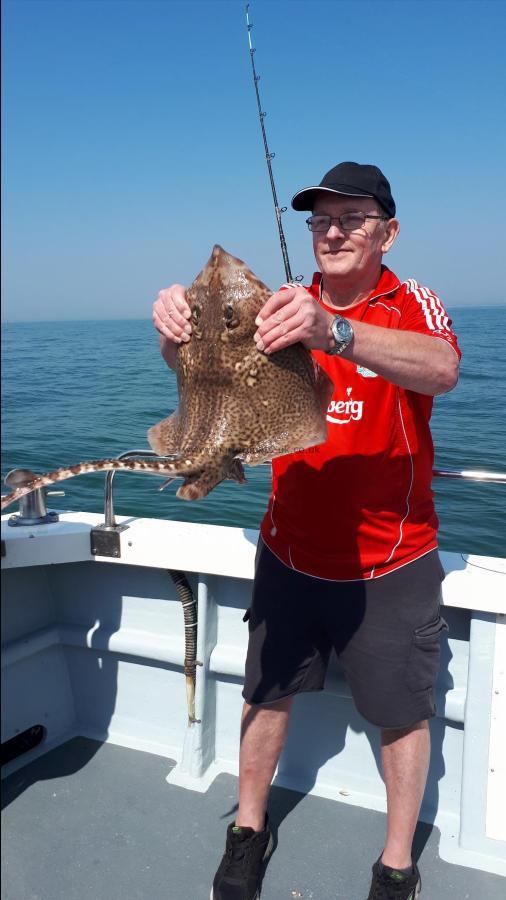 9 lb Thornback Ray by Unknown