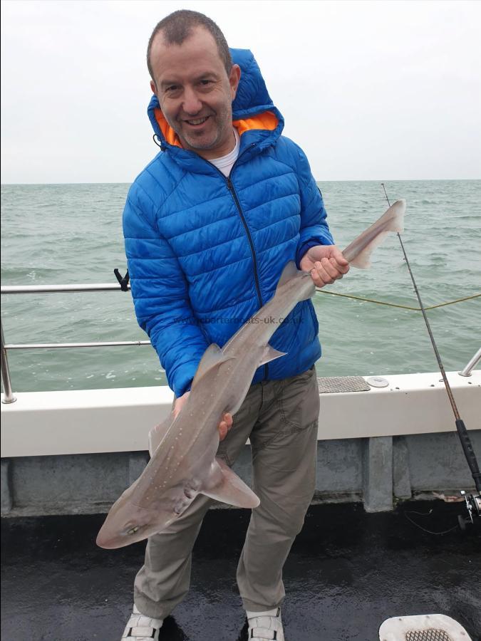 11 lb 8 oz Starry Smooth-hound by Bob Marshall