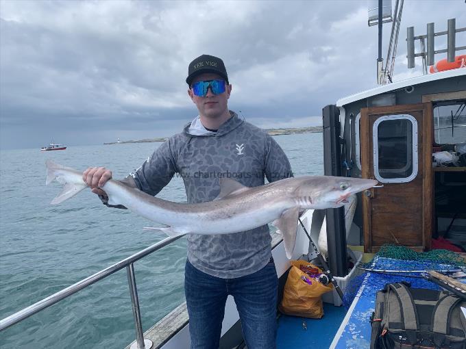 15 lb Tope by Unknown