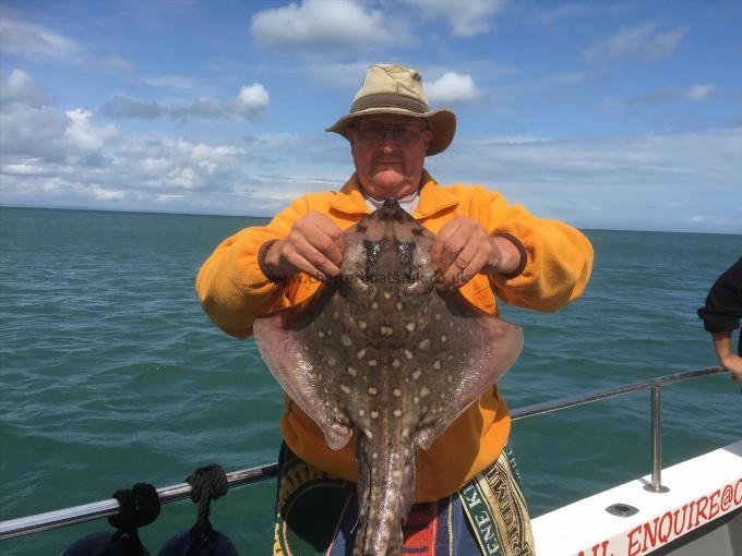 5 lb Thornback Ray by Unknown