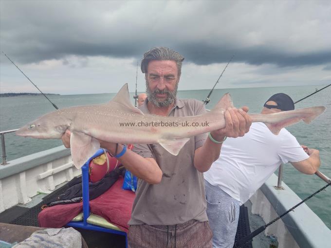 8 lb Starry Smooth-hound by Gary