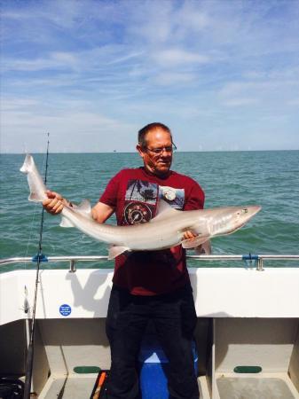 20 lb 8 oz Smooth-hound (Common) by Trevor