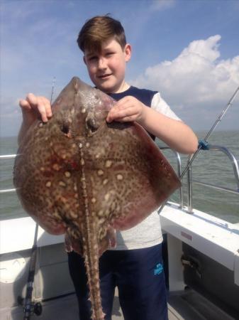 11 lb 4 oz Thornback Ray by Billy