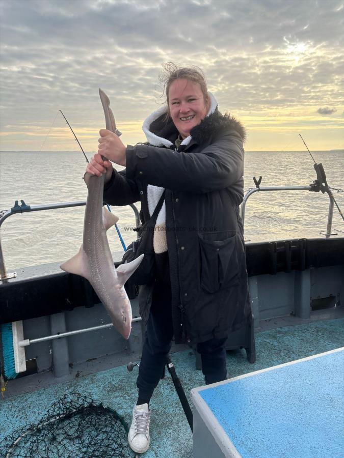 7 lb 6 oz Starry Smooth-hound by Kayleigh