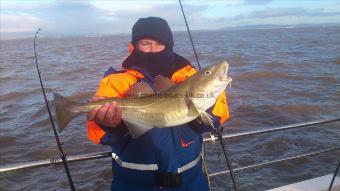 5 lb Cod by lee tregaskis