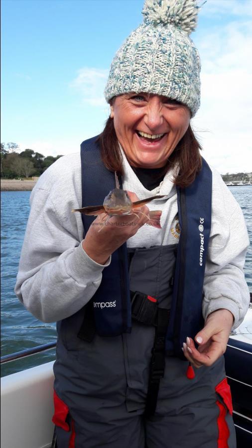 4 oz Grey Gurnard by Trish