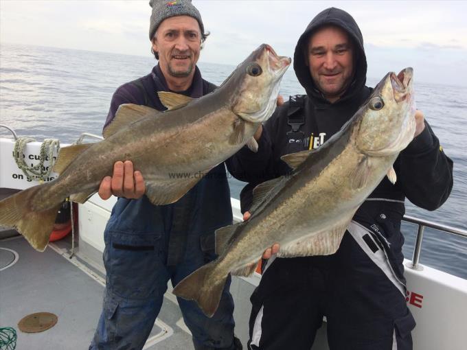 16 lb 2 oz Pollock by Brace of pollock