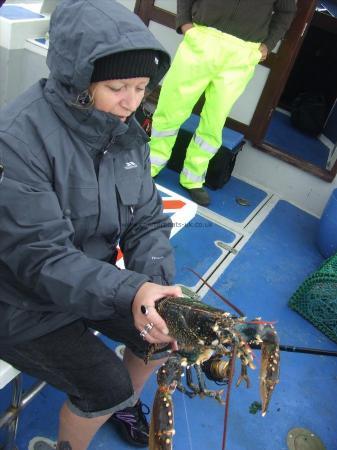 3 lb 8 oz Lobster by Unknown