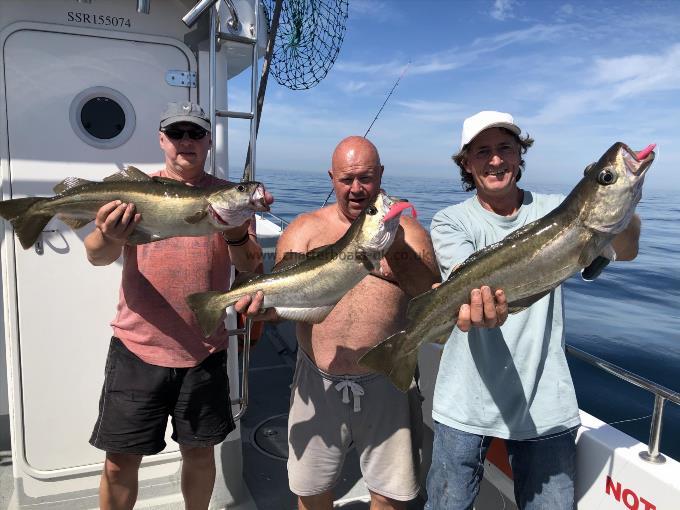 15 lb 8 oz Pollock by Deano