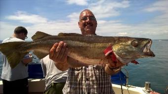 13 lb Pollock by Stephen Wake