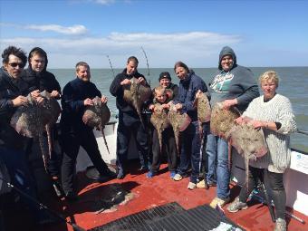 11 lb Thornback Ray by Unknown