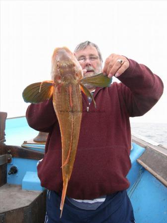 4 lb 6 oz Tub Gurnard by Unknown