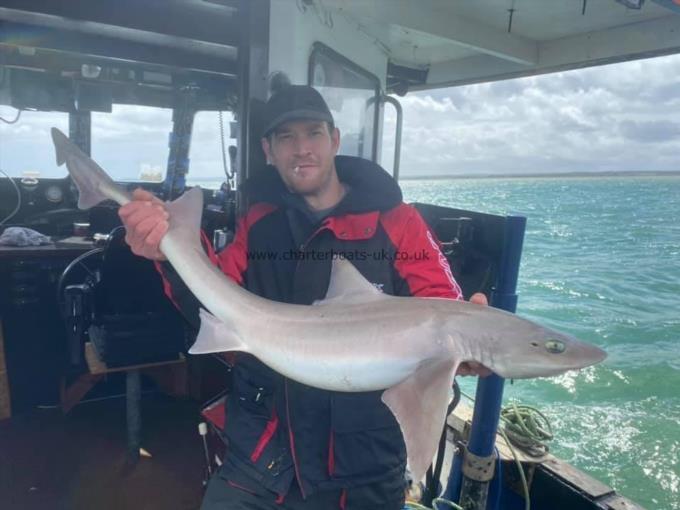 15 lb Smooth-hound by Unknown