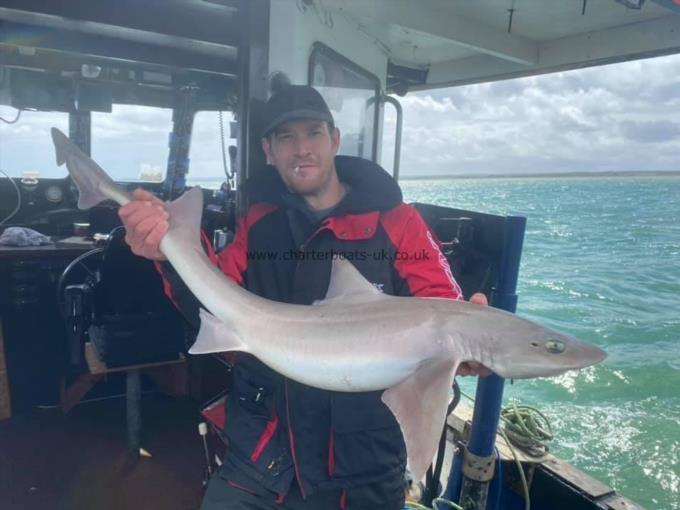 15 lb Smooth-hound (Common) by Unknown