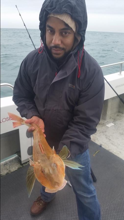 4 lb Tub Gurnard by Unknown