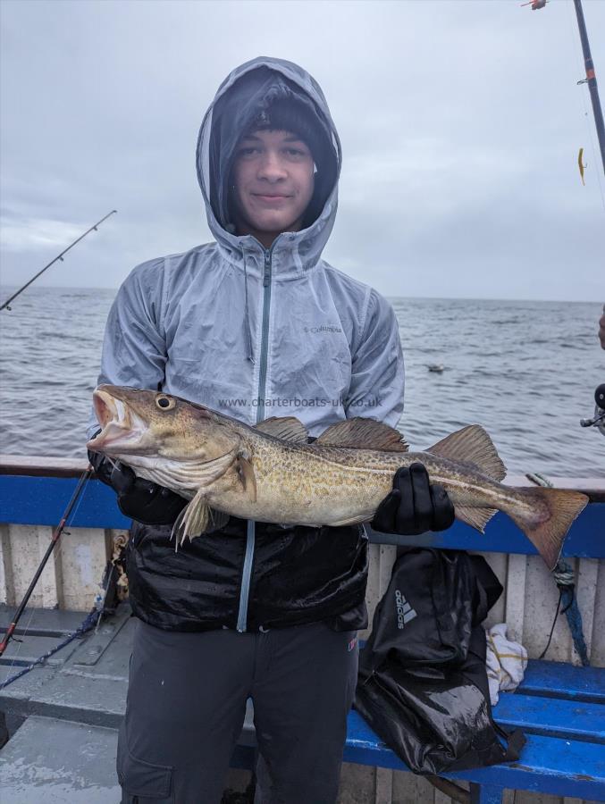 5 lb 5 oz Cod by Unknown