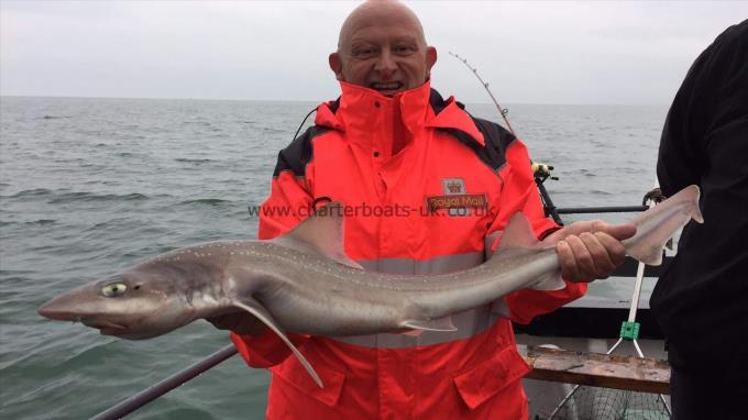 11 lb Smooth-hound (Common) by Unknown