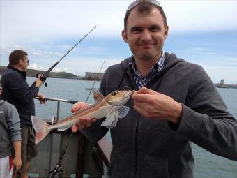 14 oz Grey Gurnard by Milford Rich