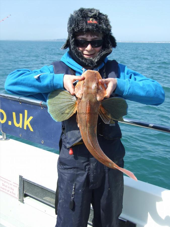 4 lb 4 oz Tub Gurnard by Alex Canham