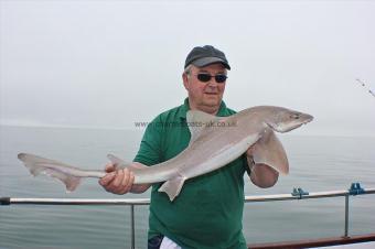 11 lb Starry Smooth-hound by Mr Keegan