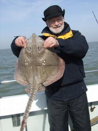 9 lb 10 oz Thornback Ray by alan brand