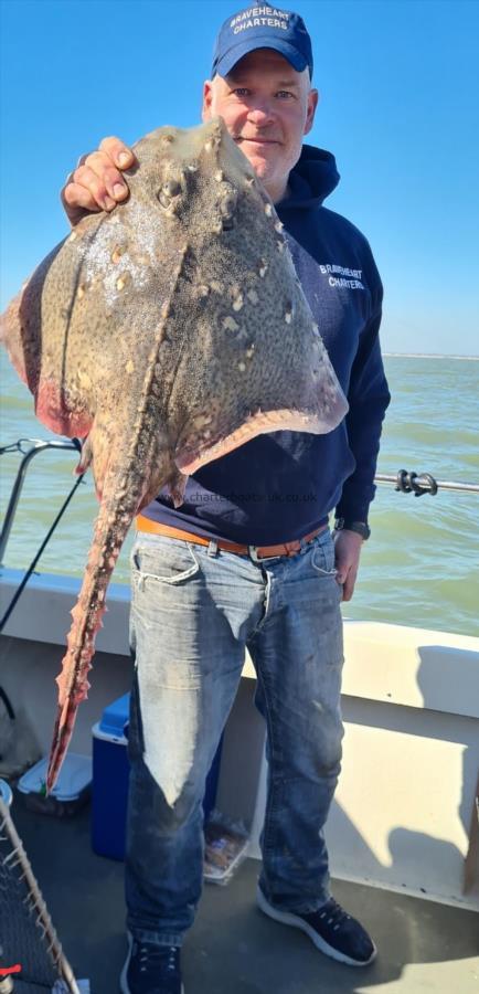 11 lb Thornback Ray by Phil