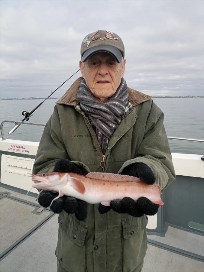 1 lb Three Bearded Rockling by Cliff