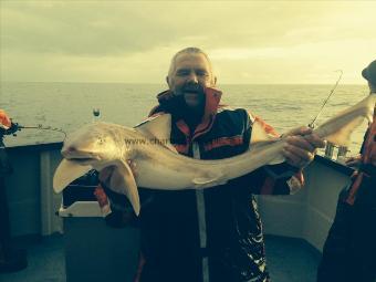 13 lb Smooth-hound (Common) by Colin Gear