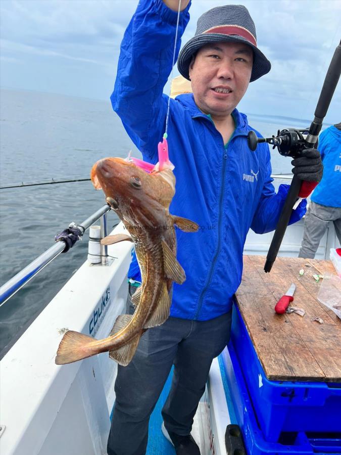 4 lb 14 oz Cod by Unknown