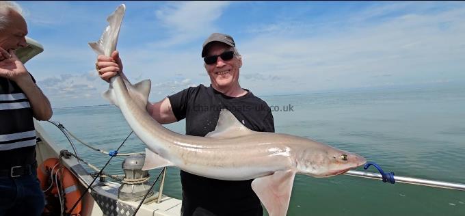 20 lb 8 oz Smooth-hound by Paul